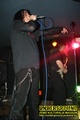 Gallery image 36