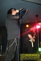 Gallery image 37