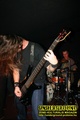 Gallery image 39