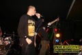 Gallery image 59