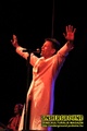 Gallery image 38