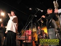 Gallery image 13