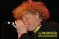 Gallery image 38