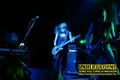 Gallery image 50