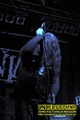 Gallery image 53
