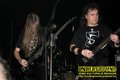 Gallery image 52