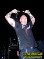 Gallery image 21