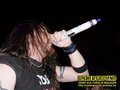 Gallery image 40