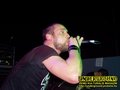 Gallery image 40