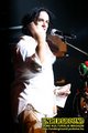 Gallery image 54