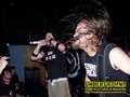 Gallery image 66