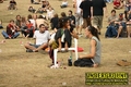 Gallery image 28
