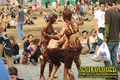 Gallery image 35