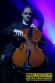 Gallery image 12