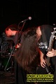 Gallery image 39