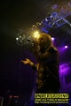 Gallery image 23