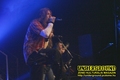 Gallery image 26