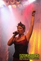 Gallery image 29