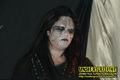 Gallery image 32