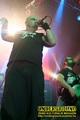 Gallery image 37