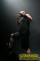 Gallery image 39