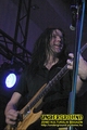 Gallery image 21