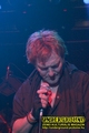 Gallery image 21