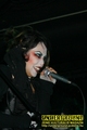 Gallery image 31