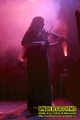Gallery image 59