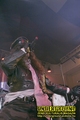 Gallery image 30