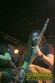 Gallery image 38