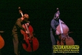 Gallery image 35
