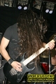 Gallery image 38