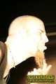 Gallery image 31