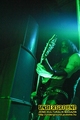 Gallery image 50