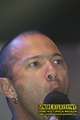 Gallery image 43