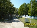 Gallery image 16
