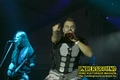 Gallery image 23