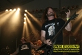 Gallery image 30