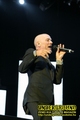 Gallery image 38