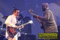 Gallery image 15
