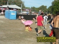 Gallery image 33