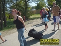 Gallery image 53