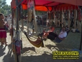 Gallery image 52