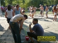 Gallery image 39