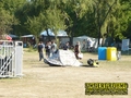 Gallery image 26