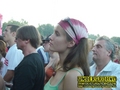 Gallery image 29