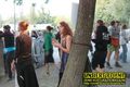 Gallery image 21