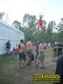 Gallery image 28