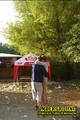 Gallery image 38